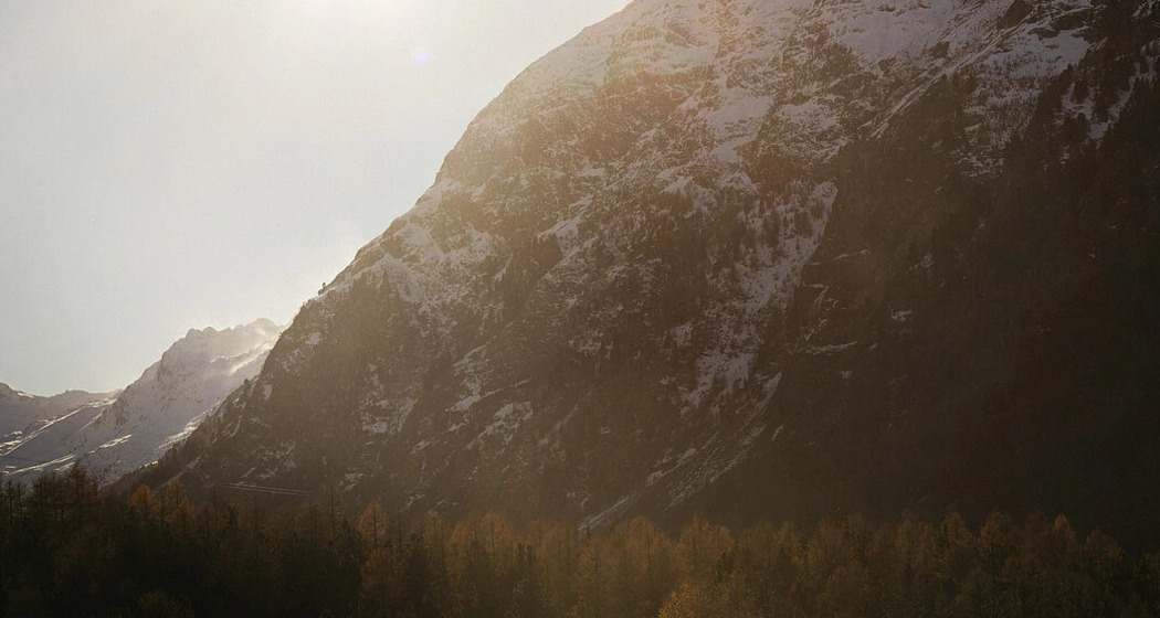 Deep Nature Days im Sommer (gdl_926994807_image)