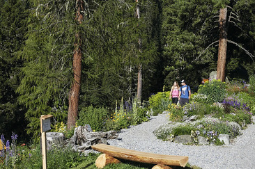 Führung im historischen Alpinum Schatzalp (gdl_927145673_image)
