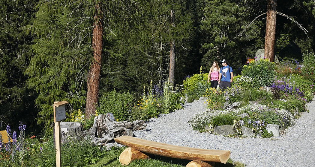 Führung im historischen Alpinum Schatzalp (gdl_927145673_image)