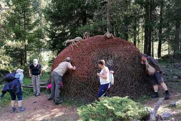 Ameisen (gdl_927220124_image)