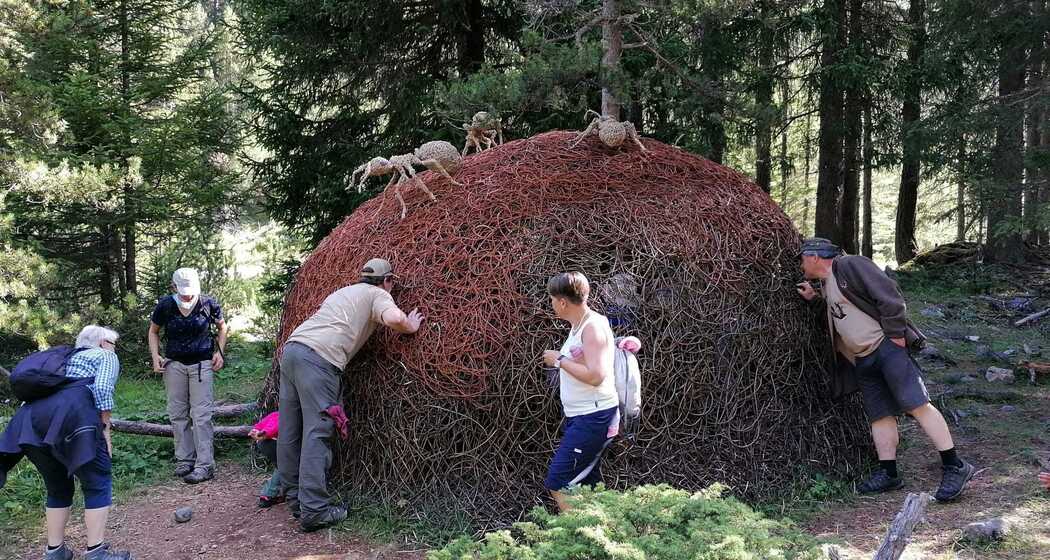 Ameisen (gdl_927220124_image)