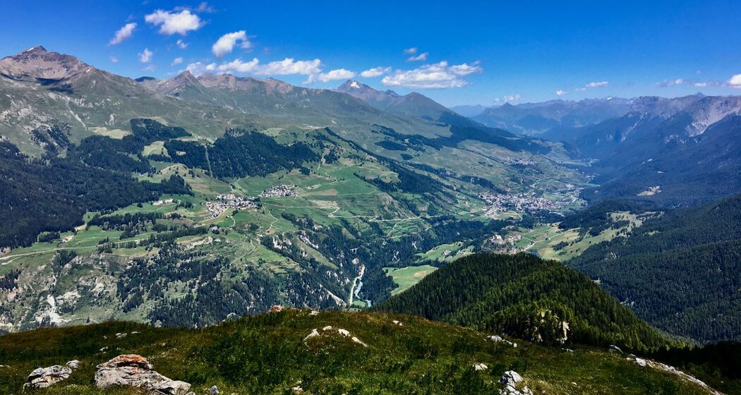 Der Schafberg, einer der schönsten Aussichtsberge auch für den Wolf? (gdl_927220126_image)