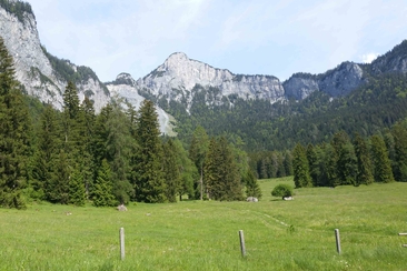 Taminser Bergsturzarena - Geführte Wanderung (gdl_927479578_image)