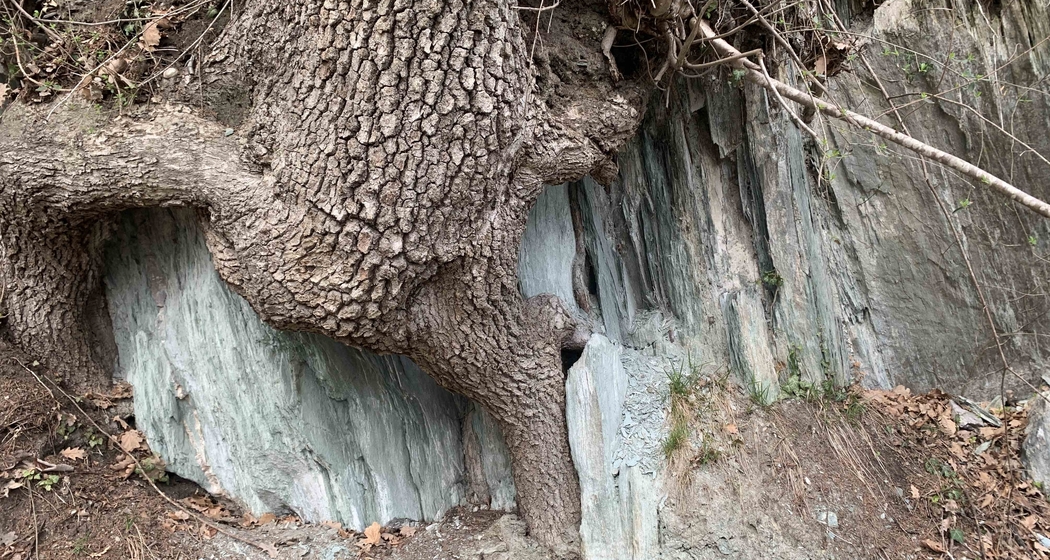 Steine und Wasser - Geführte Wanderung (gdl_927482889_image)