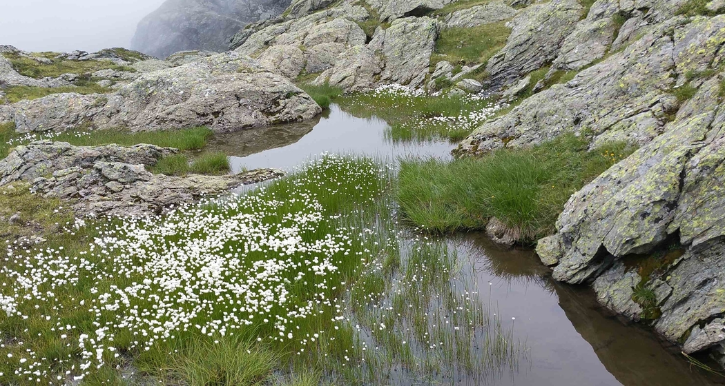 Über vier Pässe im Parc Ela - Geführte 2-Tages-Wanderung (gdl_927489435_image)