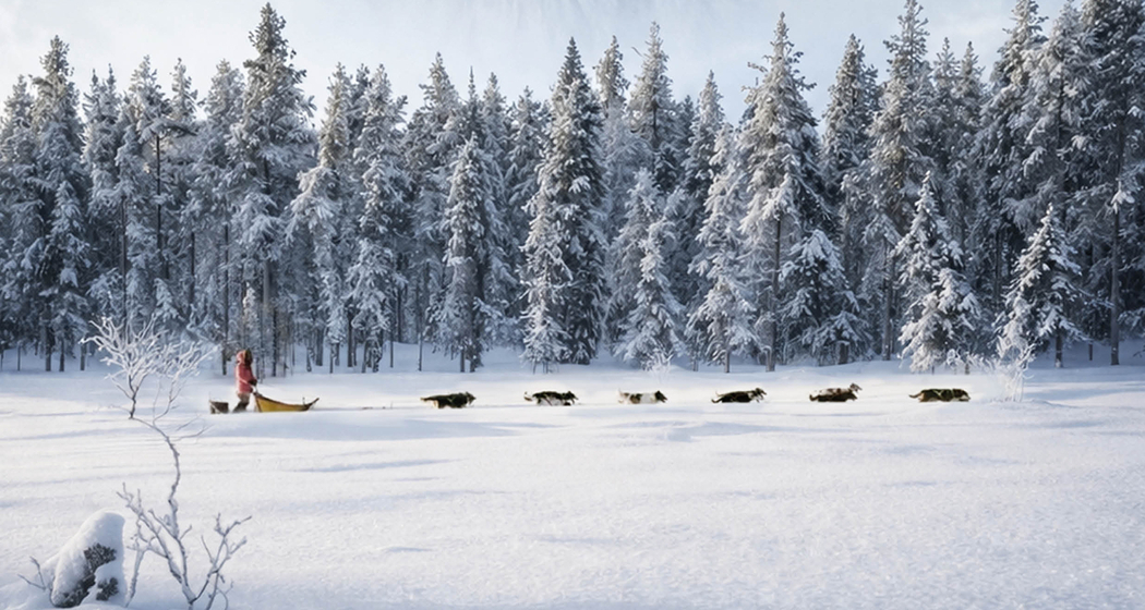 HUSKIES im Herzen - Dokumentarfilm Premiere (gdl_927582754_image)