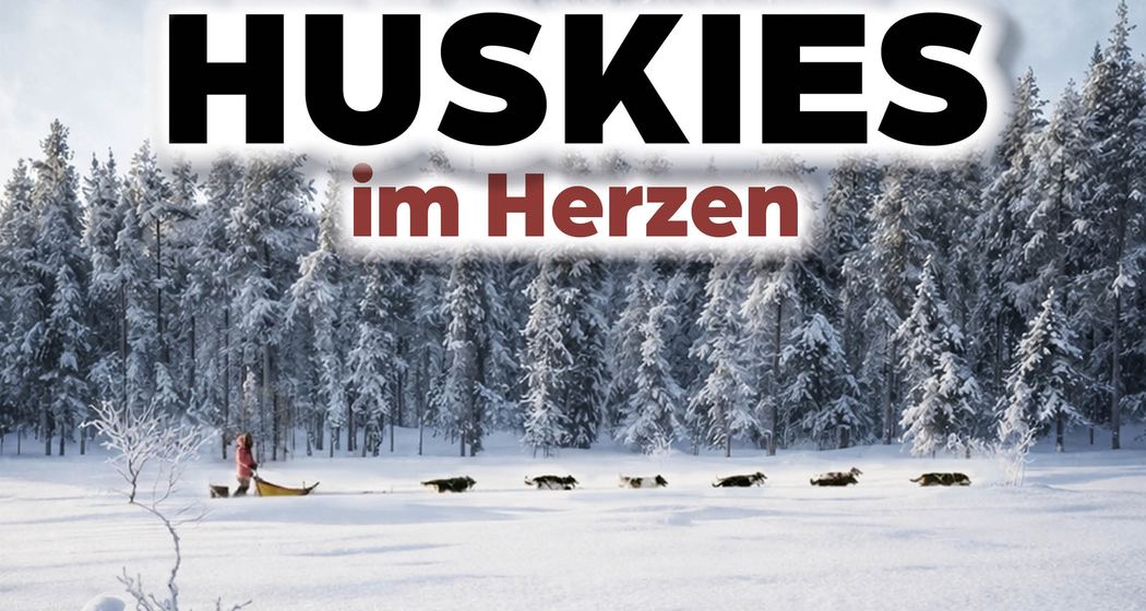 HUSKIES im Herzen - Dokumentarfilm Premiere (gdl_927582755_image)