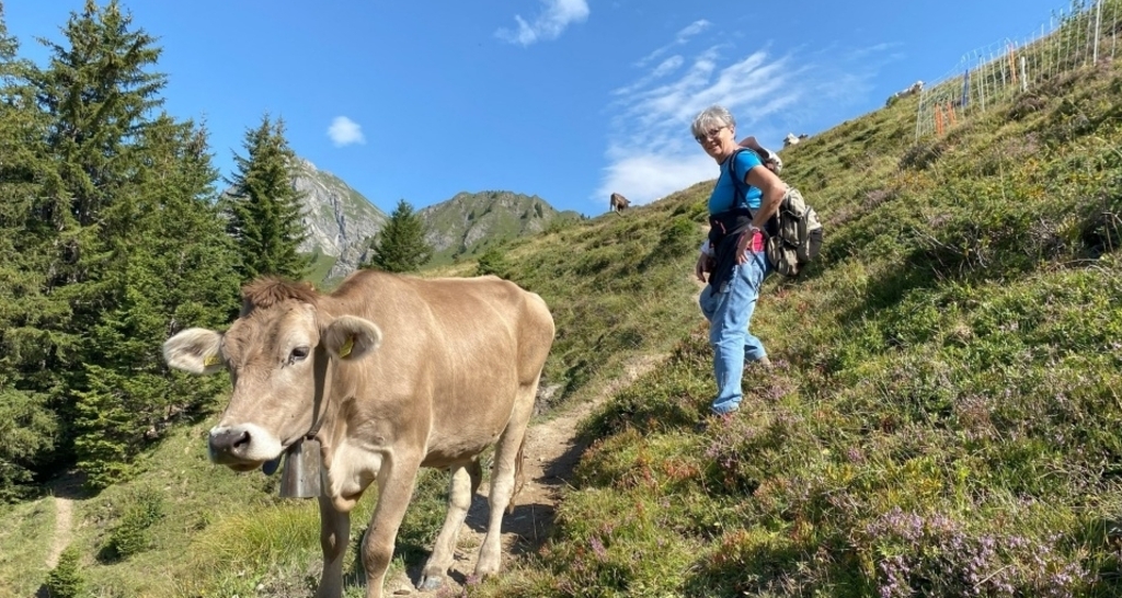 Alpwanderung mit Besuch beim Alpmeister (gdl_927604123_image)