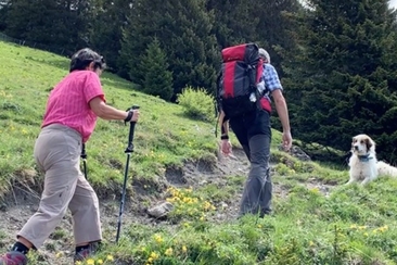Exkursion zum ‘Verhalten gegenüber Herdenschutzhunden’ (gdl_927607362_image)