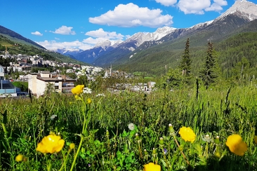 Cult divin (gdl_928048996_image)