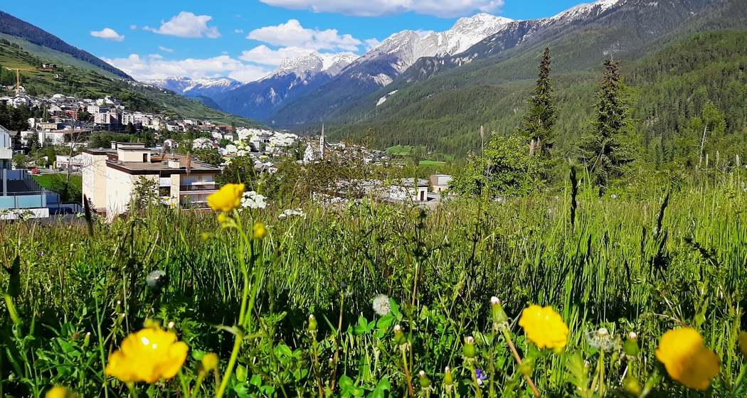 Cult divin (gdl_928048996_image)