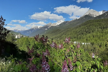 Cult divin (gdl_928049391_image)