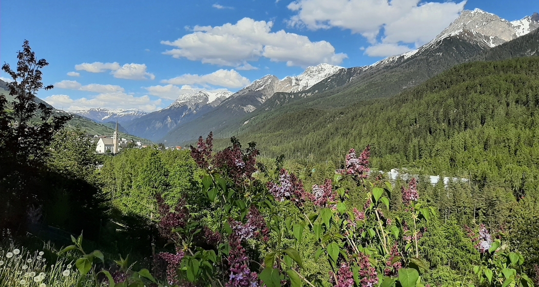 Cult divin (gdl_928049391_image)