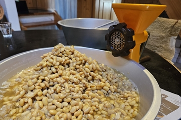 Japanischer Miso Kurs & Lunch (gdl_928099928_image)