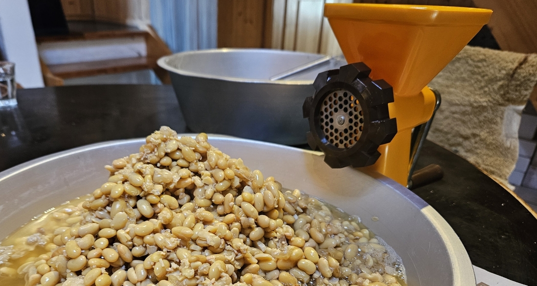 Japanischer Miso Kurs & Lunch (gdl_928099928_image)