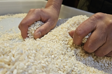 Japanischer Koji Kurs (gdl_928099988_image)