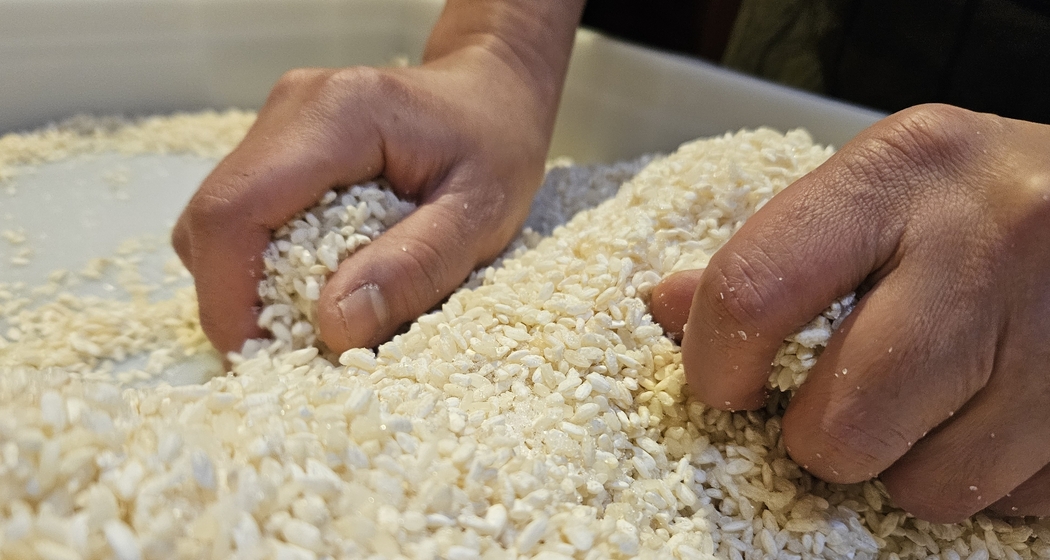 Japanischer Koji Kurs (gdl_928099988_image)