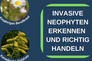 Vortragsabend Invasive Neophyten in Ilanz (gdl_928202856_image)