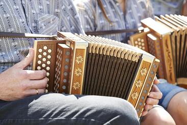 Ländlertreffen bei der Brüggerstuba (gdl_928262805_image)