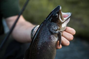 ArosaAkademie «Was unter der Oberfläche wartet» (gdl_928262806_image)