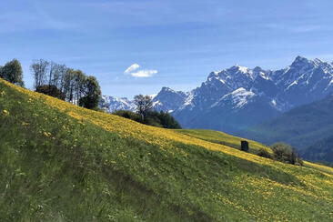 Das Unterengadiner Fenster - eine Millionen Jahre alte (Alpen)Geschichte (gdl_928337880_image)