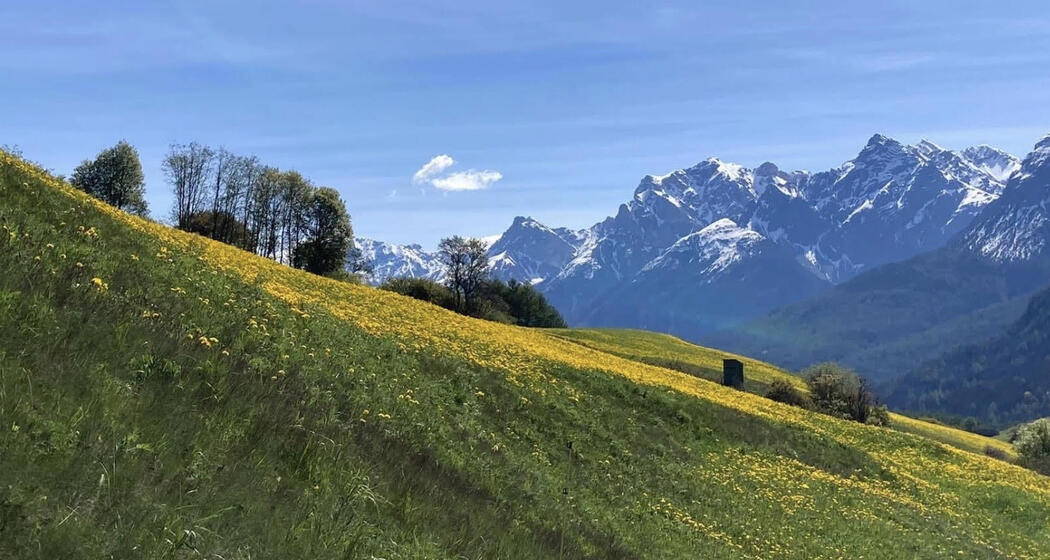 Das Unterengadiner Fenster - eine Millionen Jahre alte (Alpen)Geschichte (gdl_928337880_image)