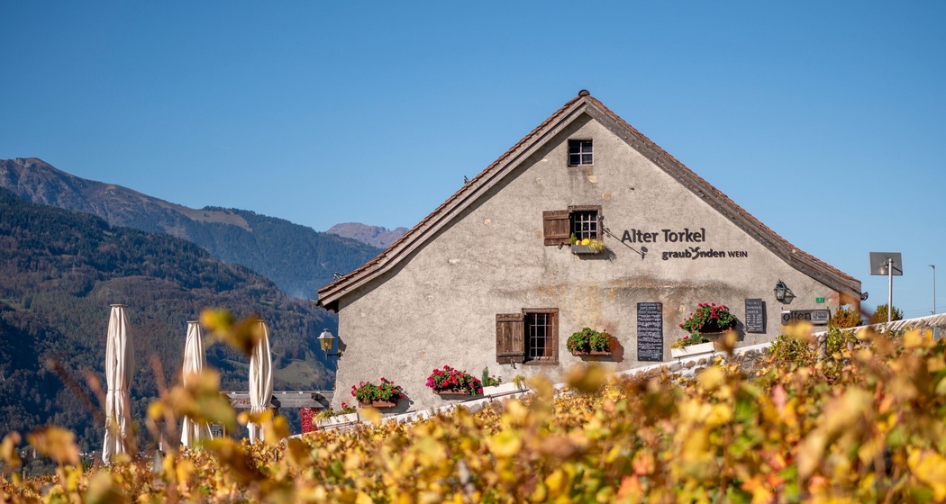 Wein & ALTER TORKEL (gdl_928337881_image)