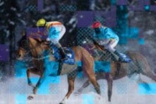 White Turf Meeting 2027 - 1. Renntag 07. Februar 2027 (gdl_928380005_image)