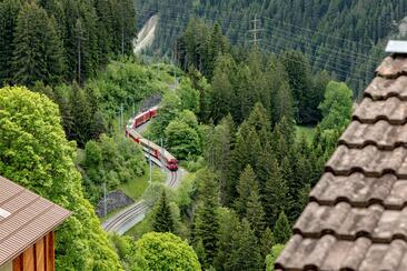 ArosaAkademie «Lebensraum Bahnhof - Amphibien» (gdl_928420353_image)
