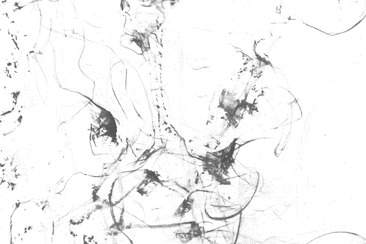 PHILIP SOMERVELL / CHARLOTTE HUG / THOMAS ROHRER (gdl_928472103_image)