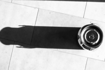 Eintauchen in die Welt des Schweizer Käses (Teil II) in Versam-Arezen (gdl_928511080_image)