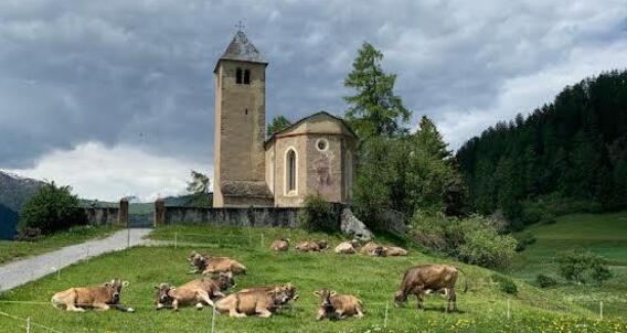 Kirche St. Maria und deren Friedhof (gdl_928583381_image)