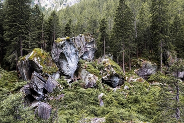 Magic Wood Community Crank (gdl_929144146_image)