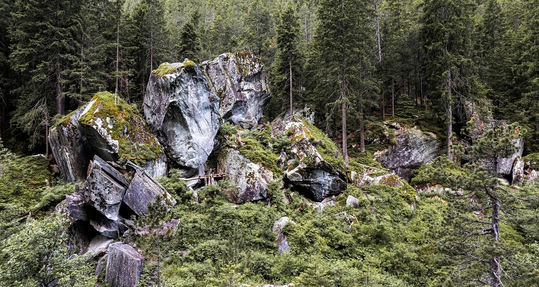 Magic Wood Community Crank (gdl_929144146_image)