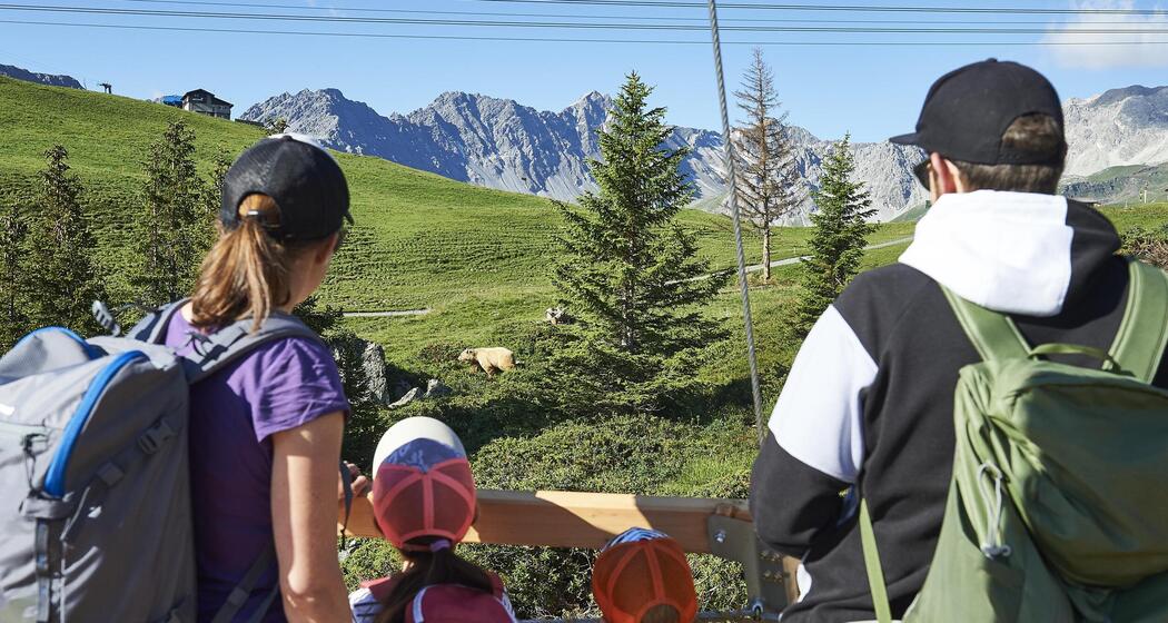 Arosa Bärenland Gruppenführungen (gdl_929401104_image)