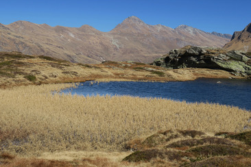 Tagung: Moore, lebendige Archive – Das Gedächtnis der Landschaft (gdl_929401186_image)