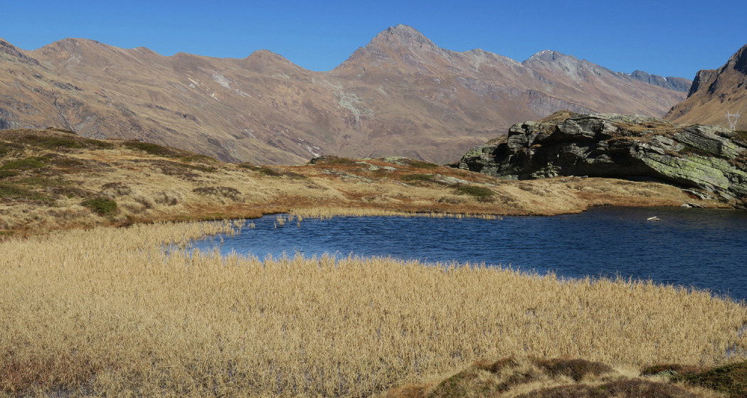 Tagung: Moore, lebendige Archive – Das Gedächtnis der Landschaft (gdl_929401186_image)