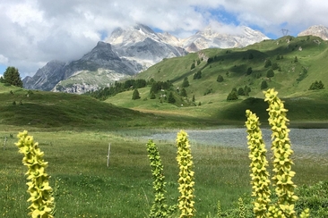 Excursion : Vivre les marais - où le paysage raconte l'histoire (gdl_929486153_image)
