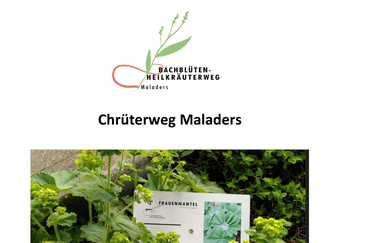 Chrüterweg Maladers (gdl_929513864_image)