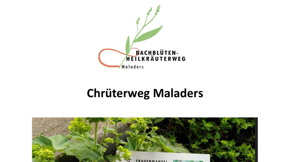 Chrüterweg Maladers (gdl_929513864_image)