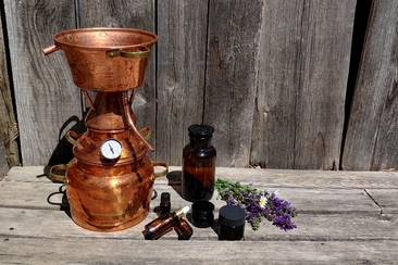 forum refurmo - Workshopreihe 2026 / Basiswissen Naturapotheke (gdl_929651715_image)