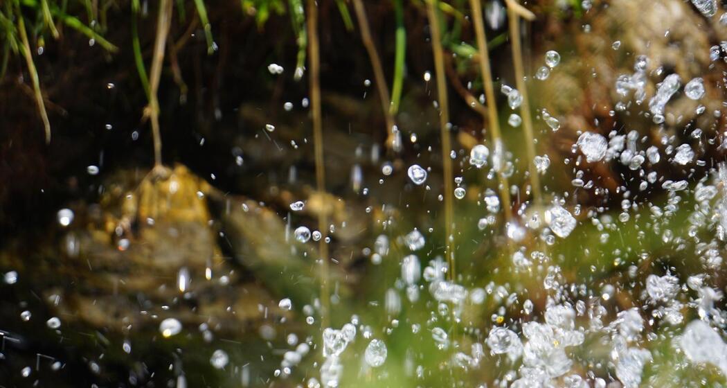 Wasser erleben - Wanderung auf der Alp Flix (gdl_929873468_image)