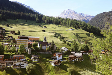 Wiesner Alpfest (gdl_930350935_image)