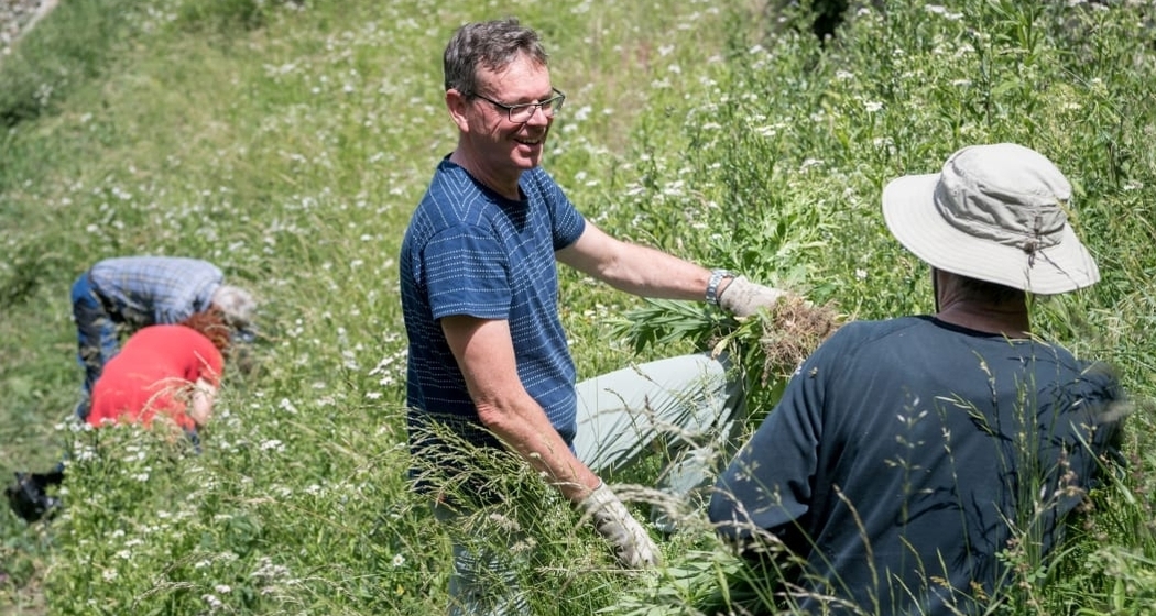 Tag der guten Tat: Natur verbindet – Einsatz für die Blumenvielfalt im Seidengut (gdl_930505356_image)
