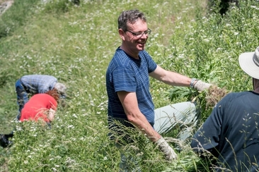 Natur verbindet – Im Einsatz für die Blumenvielfalt im Seidengut (gdl_930510575_image)