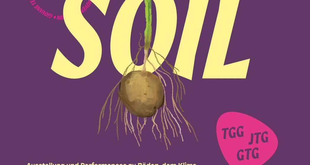 SOIL Ausstellung und Performances (gdl_930706334_image)