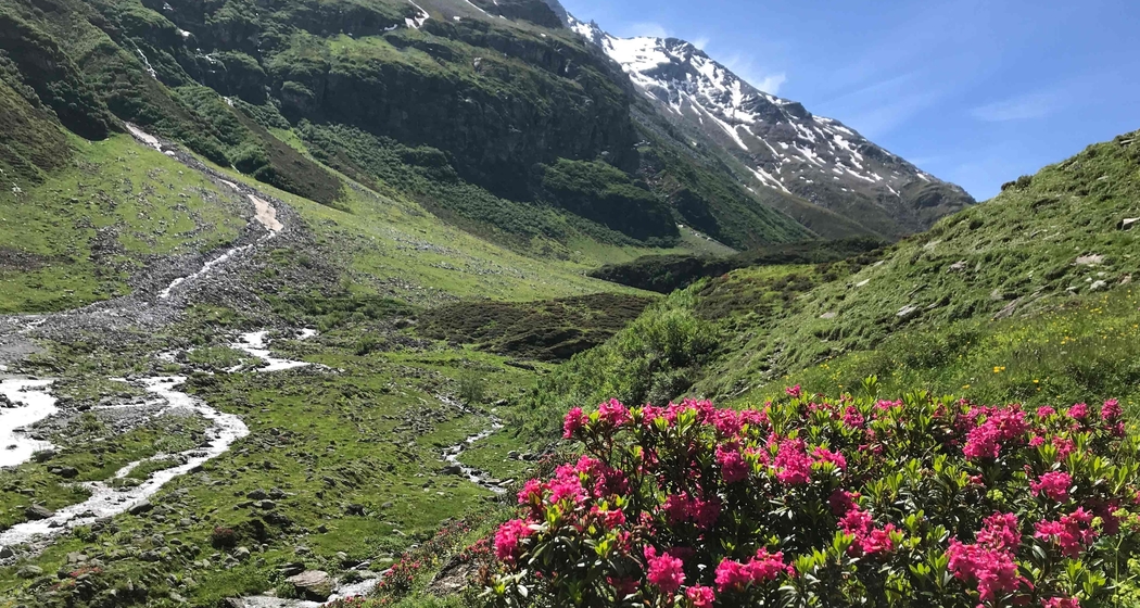 Geführte Wanderung von Nufenen nach San Bernardino (gdl_930969894_image)