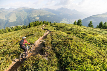 Bike: Enduro Camp - Ladies only (gdl_930986029_image)