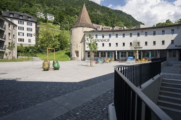 Der musikalische Sennhofsommer (gdl_931746188_image)