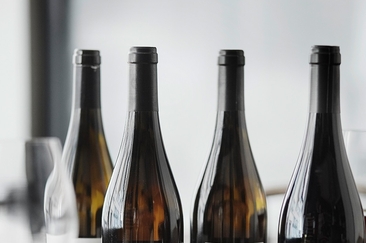 «graubündenVIVA im Fokus» Zu Besuch beim Weingut Schifferli in Malans (gdl_931765863_image)
